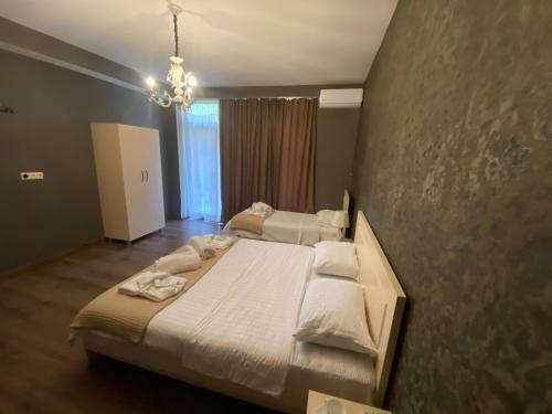 Hotel Borjomi Central