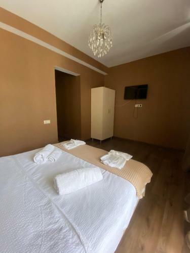 Hotel Borjomi Central
