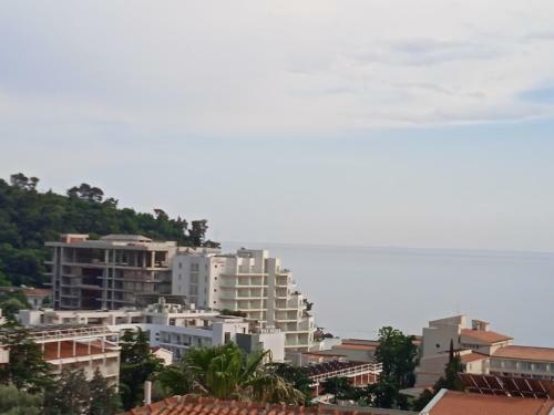 Apartments Milica
