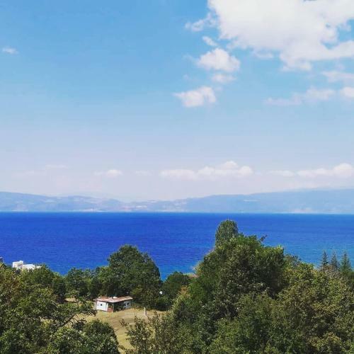 Apartamento The Brothers Villa Hotel