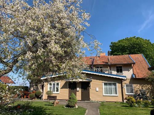 Baltas Apartamentas
