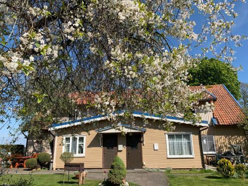 Baltas Apartamentas