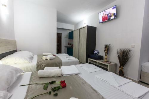 Zara Apartmani Sutomore