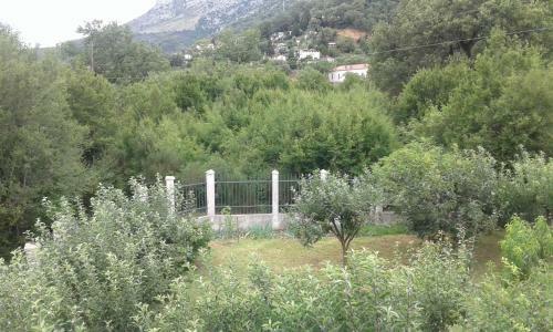 Danijela Apartmani