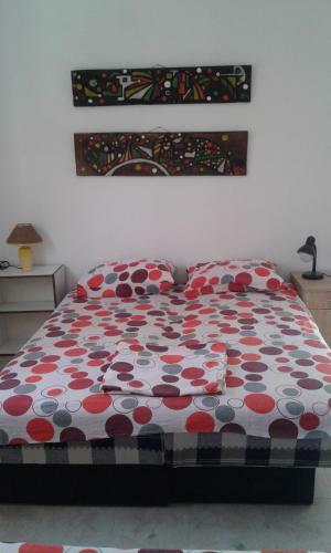 Danijela Apartmani