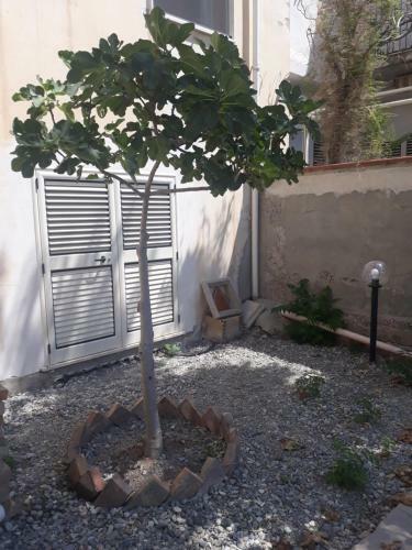 Apartamento Seafront Plaza