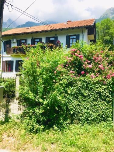 Apartmaji Jana