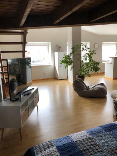 Laima Apartment