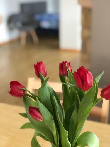 Laima Apartment