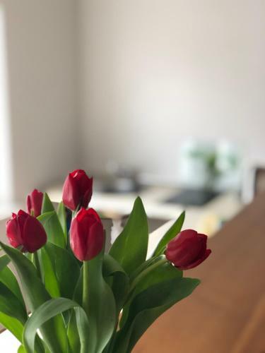 Laima Apartment