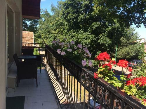 Apartments Adis