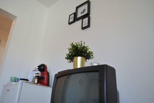 Apartamento Villa Viktoria Studios