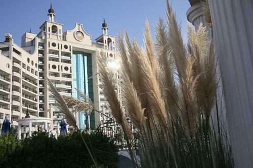 Apartament W 5* Sunset Resort