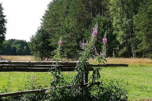 Hallika Sauna