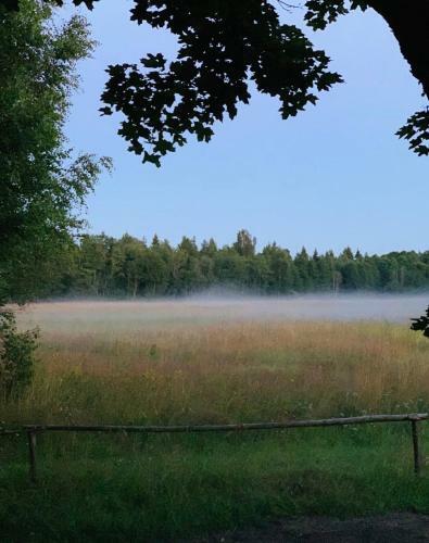Hallika Sauna