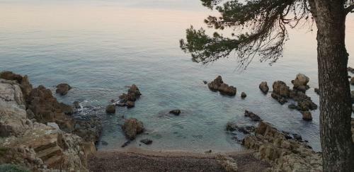 Apartamento Studio Zenazur