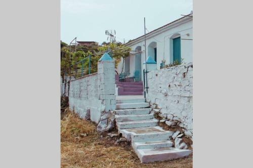 Iliana's Courtyard