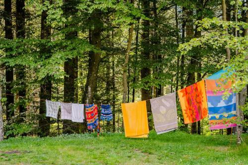 Budget Glamping Safaritent - La Steniole