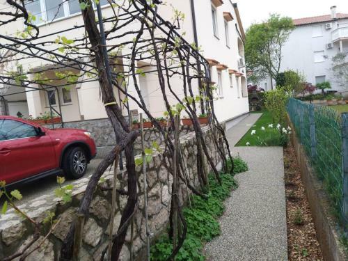 Apartmani Anita