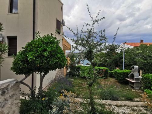 Apartments Lucia