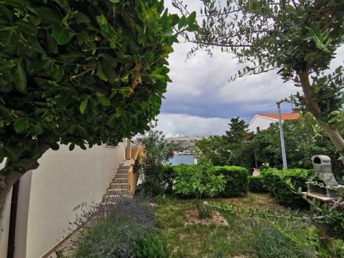 Apartments Lucia