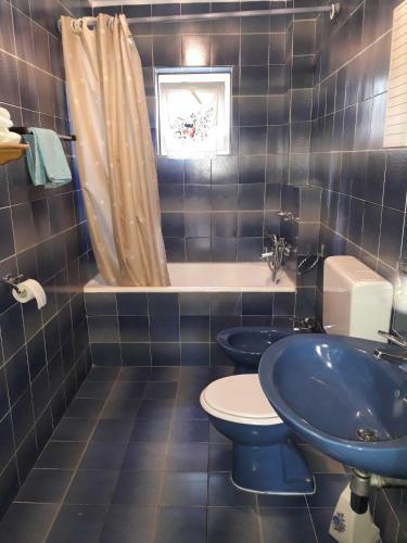 Apartmani Ana Novi V. - Studio