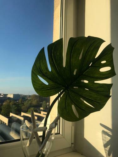 Apartamento Good Morning Gdynia