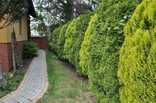 Apartamento Willa Oliwna
