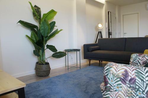 Apartamento The View Coimbra
