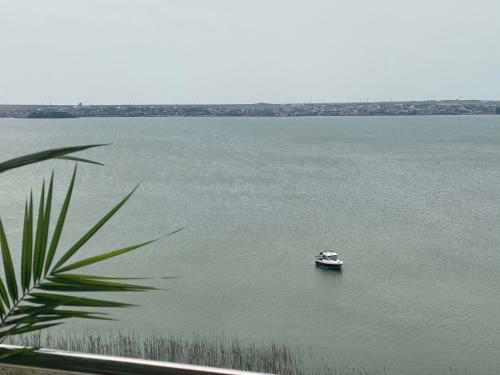 Lake View Summerland Apartment