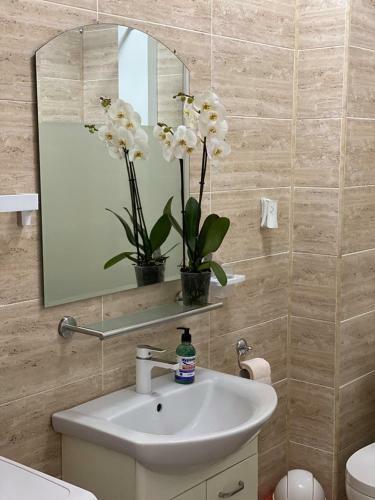 Apartamento Cazari Mamaia Summerland