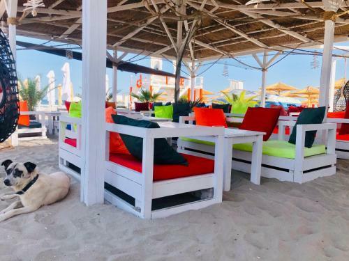 Happy Apartments 2 Mamaia Nord