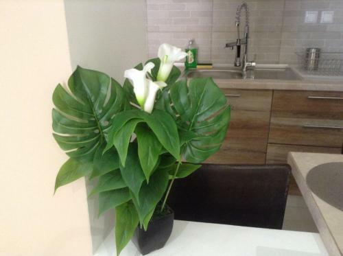 Mehmet Ali Luxury Apartment