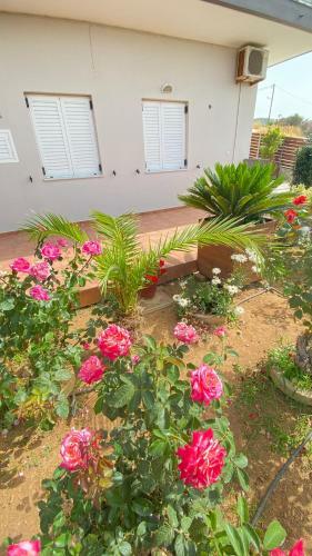 Maria & Zachos House