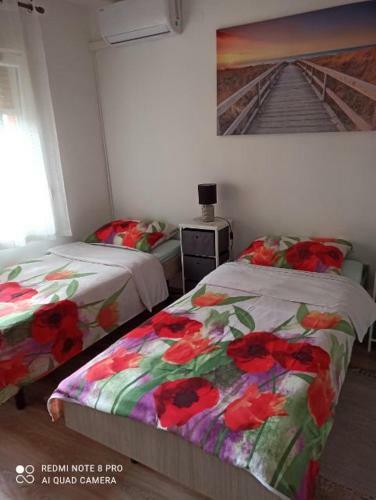 Apartment Jasna