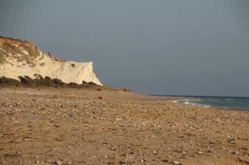 Agroturismo Le Zarafe