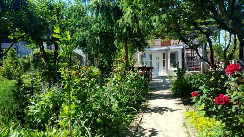 Hostal Camere De Inchiriat Nicoleta