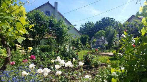 Hostal Camere De Inchiriat Nicoleta