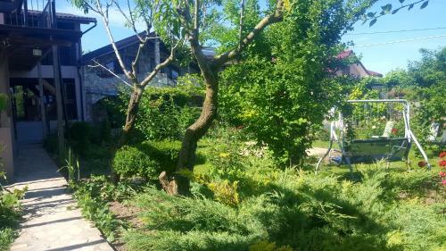 Hostal Camere De Inchiriat Nicoleta