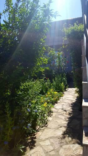 Hostal Camere De Inchiriat Nicoleta
