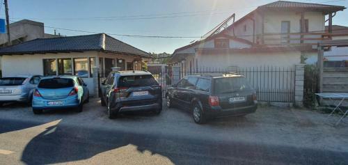 Pagini Din Vama