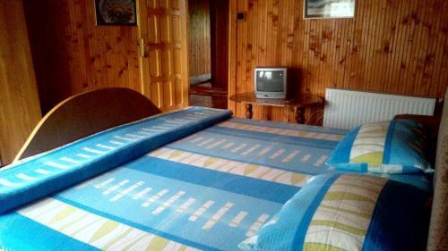 Hostal Pensiunea Gabriela