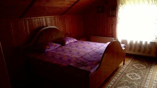 Hostal Pensiunea Gabriela
