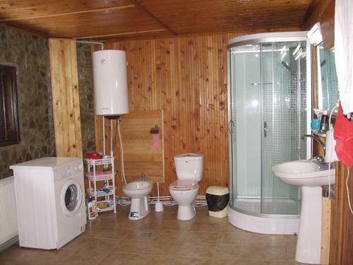 Hostal Pensiunea Gabriela