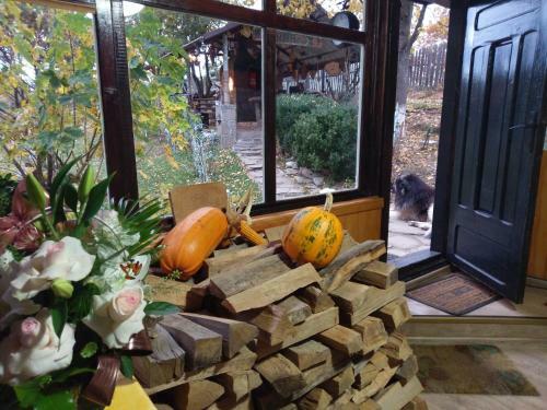 Hostal Pensiunea Gabriela