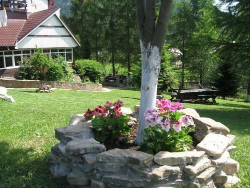 Hostal Pensiunea Gabriela