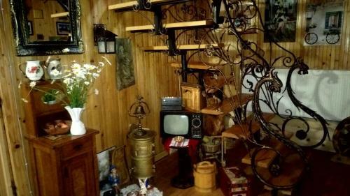 Hostal Pensiunea Gabriela