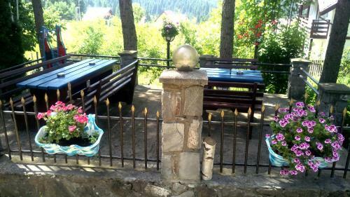 Hostal Pensiunea Gabriela