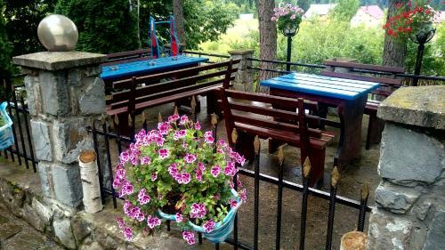 Hostal Pensiunea Gabriela