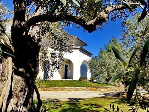 Hostal Villa Duchess